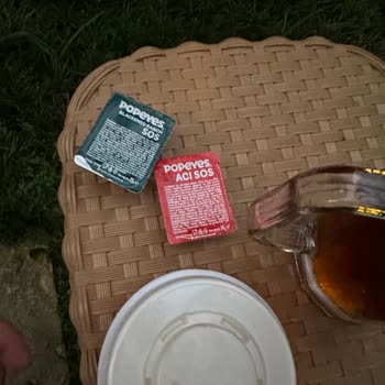 Bu Yemeği Ailenin Bir Ferdine Sunar Mıydın Popeyes's?