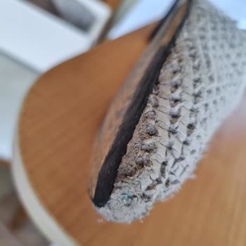 Tamer Tanca Ozdilek AVM Levent Ayakkabının Hali