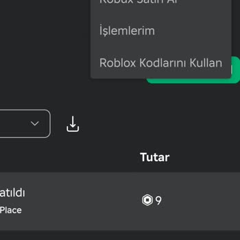 Roblox Robuxum Bir Anda Gitti