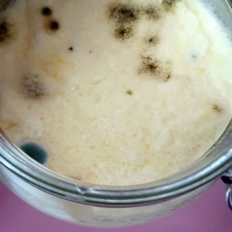 Tazedirekt Cahit Bey Jersey Süt Küflendi