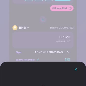 Binance Ve PancakeSwap'ta Scam Projelerle Mağduriyet