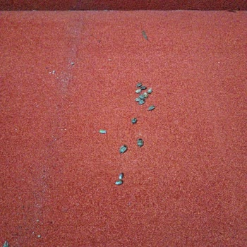 Kalpe Houses Kalpe House Otel Şikayet