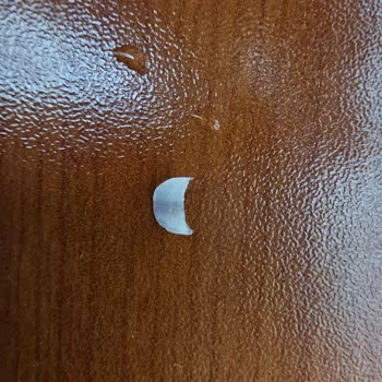 Tada! Ambalajlı Ürün Deneyimim