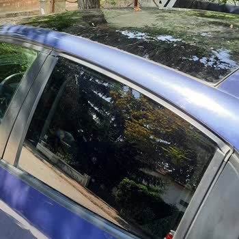 Peugeot 208 Arka Pencere Lastik Yırtılması