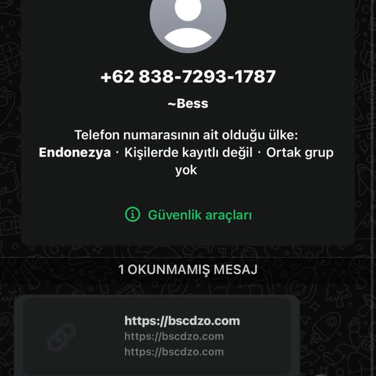 WhatsApp +62 838-7293-1787