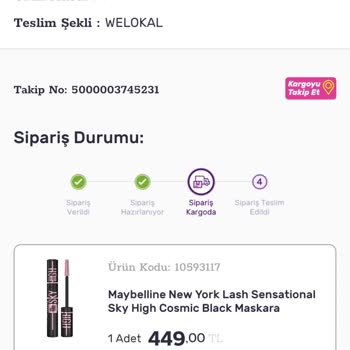 Gratis Kargo Teslim Edilmemesi