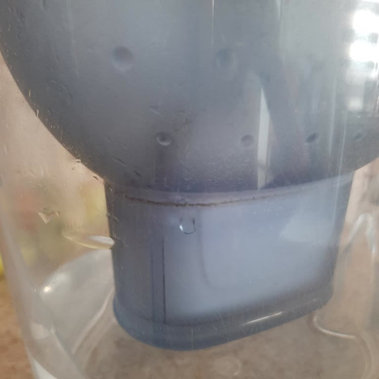 Küçükkuyu Belediyesi Su Kirliliği Ve Denetimsizlik!