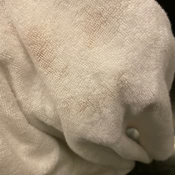 Sherwood Exclusive Kemer Temizlik Problemi