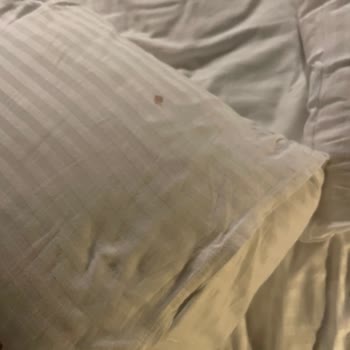 Sherwood Exclusive Kemer Temizlik Problemi