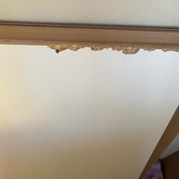 IKEA Kartal Mağazası Pişmanlığı