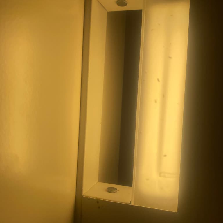 Gold Island Haşarat Dolu Oda Verilmesi Ve Otelden Kovulma