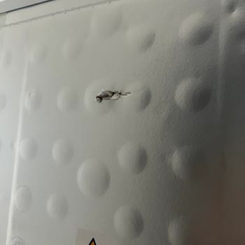 Beko Darbeli Dolap İade