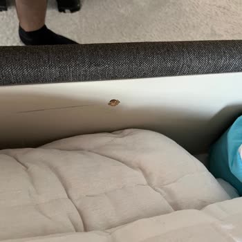 Ünlüsoy Mobilya Ssh Diye Bir Şey Yok