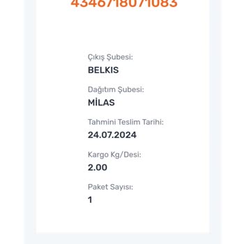 Milas Aras Kargo Şube Yetersizliği