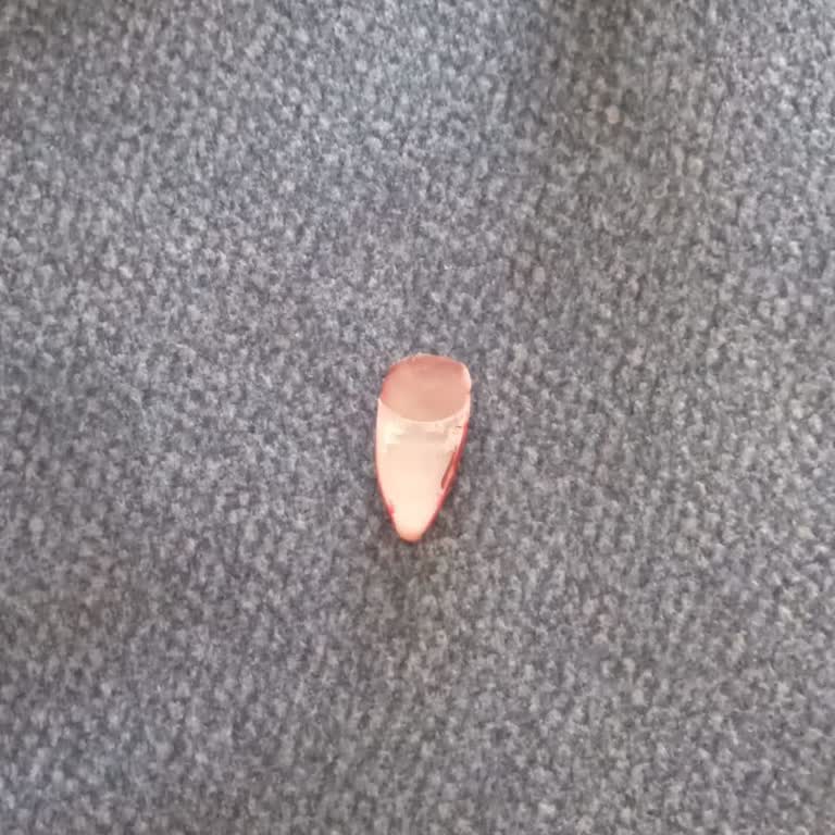 Nail Studio Bursa Tırnak Sorunu