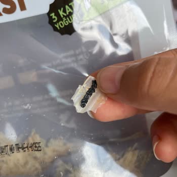 Kervan Pastaneleri Tarhanadan Siyah Bir Plastik Cisim Çıktı