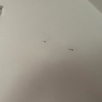 Grundig Klima Montajı Ve Eve Verilen Zarar