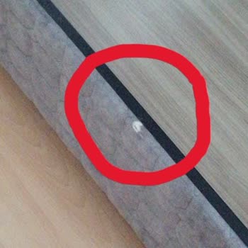 Bambi Yatak İnegöl Şube Fabrika Müşteri Hizmetleri Pişmanlıktır