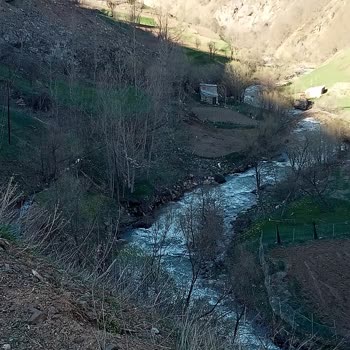 Gmail'ime Giriş Yapamıyorum Şikayetçiyim Telefon SMS Gelmiyor