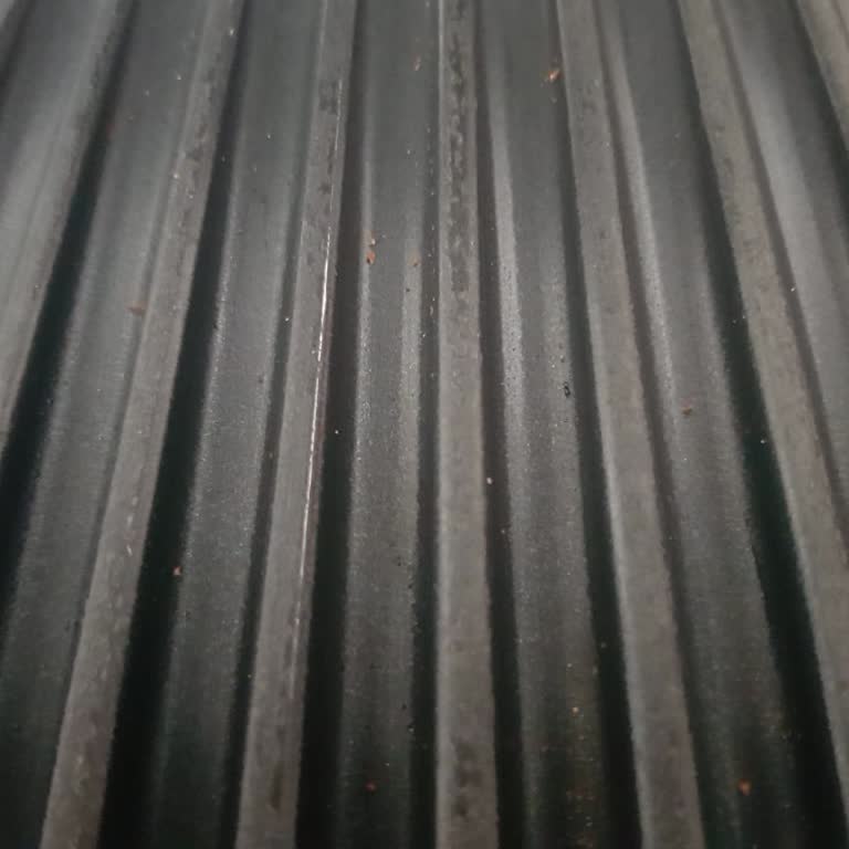 Enplus Sage Tost Makinesi