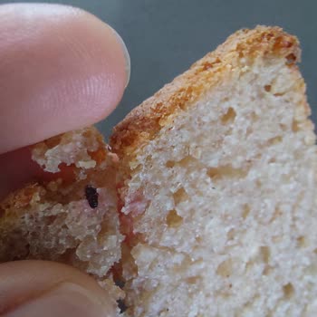 Mayaköy Organik Karabuğday Ekmeğinde Böcek