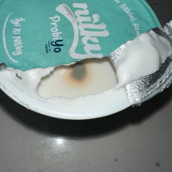 Migros'tan Alınan Küflü Nilky Yoğurt