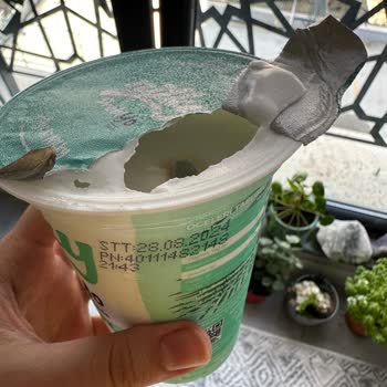 Migros'tan Alınan Küflü Nilky Yoğurt