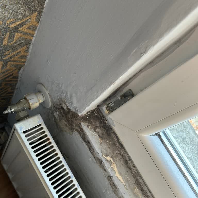 Obilet& Ada Homes Küf Rutubet Lağım Kokusu Olduğu Halde İade Etmiyor!