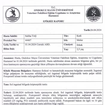 Medivet Veterinerde Yaşanan Kısırlaştırma Sorunu Ve Maddi Kayıplar