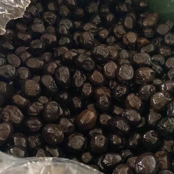 Deniz Ak Çiftliği Zeytinler Yenilmesine İmkan Yok