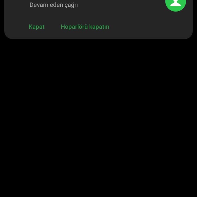 Feribotlines'a Ulaşmak Mümkün Değil. Bilgi Alamıyorum.