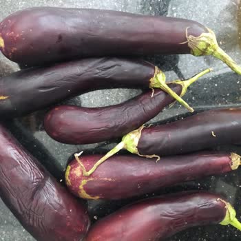 Cepte Şok Siparişimde Eksik Ve Bozuk Ürünler