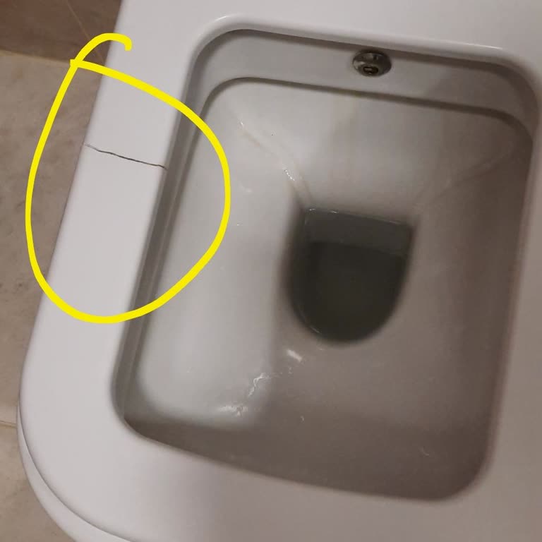 Kale Klozet Kapağı