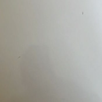 Çarşım Mağazaları Darıca İstasyon Şubesi Ustalarının Lakayıtlığı Ve Hasarlı Ürün