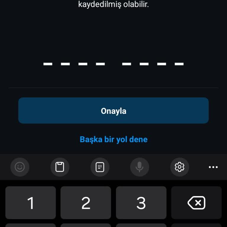 Instagram Hesabına Girilmiyor