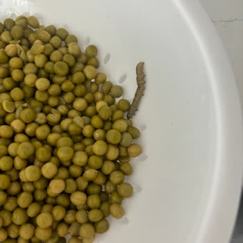 Şok Marketler Bezelyeden Kurt Çıktı