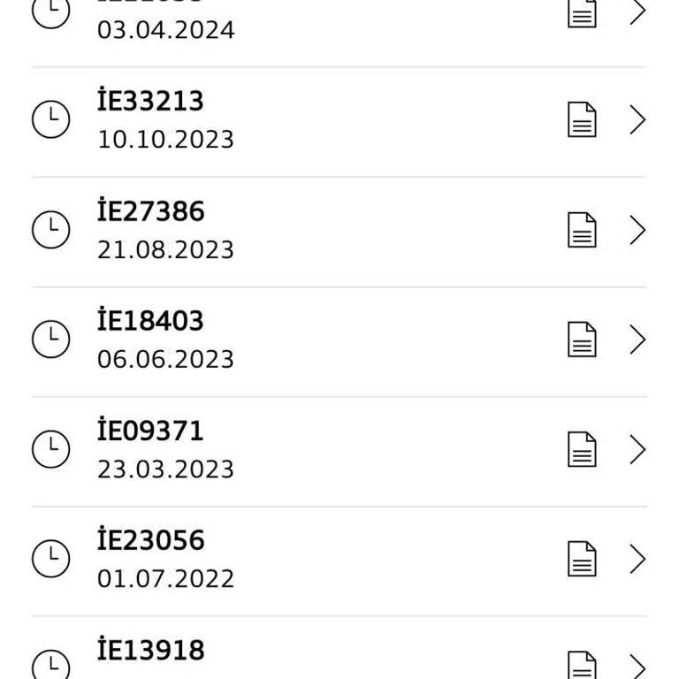 Ankara Audi Servis Deneyimi