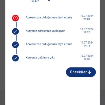 Aras Kargo Çınarcık Şubesi Teslimat Yapmıyor