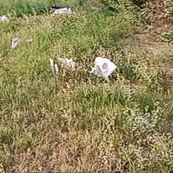 Adana Yüreğir Belediyesi Atakent Sağlık Ocağı Karşısındaki Parkın Hali!