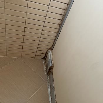 New Hotel (Samsun) Hijyen Sıfır!