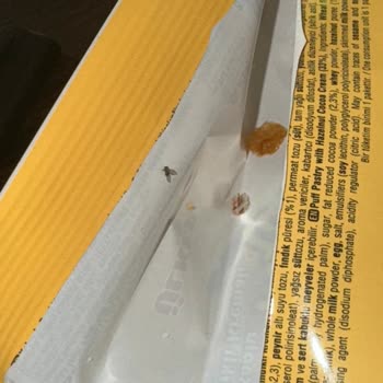 Ülker Kat Kat Tat Paketinden Böcek Çıktı