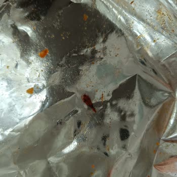 Lays İçinden Böcek Çıktı