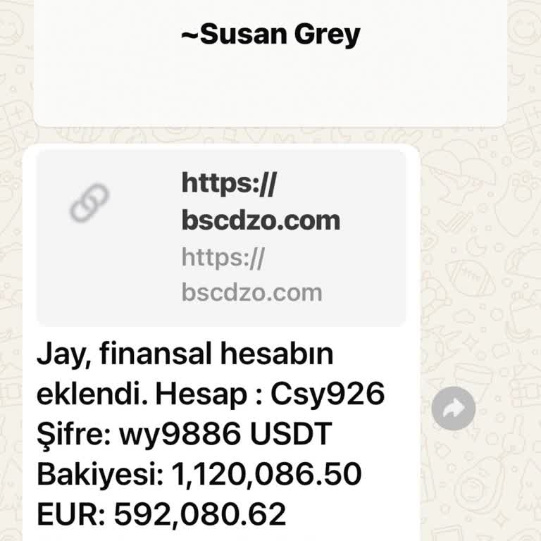 WhatsApp Gizlilik Ve Güvenlik İhlali WhatsApp