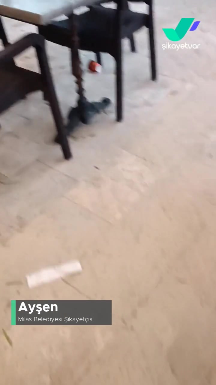Milas Belediyesi Köy Kirliliği videonun kapak resmi