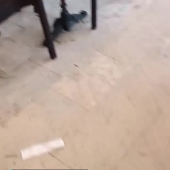 Milas Belediyesi Köy Kirliliği
