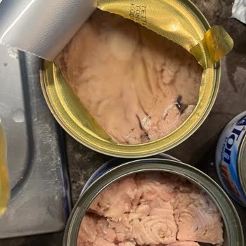 Dardanel Ton Bozuk Konserve Ton Balığı