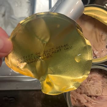 Dardanel Ton Bozuk Konserve Ton Balığı