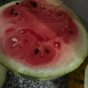 Happy Center Bu Sefer Kötü Karpuz Sattı