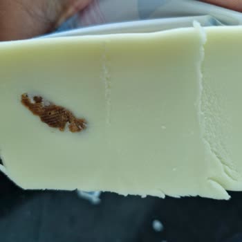 İçim Kaşar Peynirinden Çıkanlar