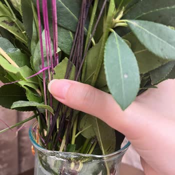 ÇiçekSepeti Çiçek Sepetinin Kırık Ürünler İçin Yaptığı Kamufle